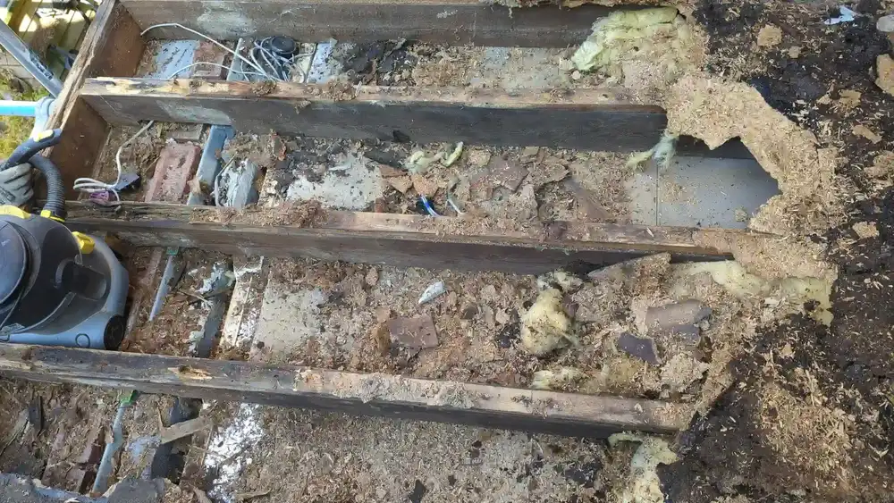 Flat roof stripped back to expose the existing joists, decayed timber and old insulation