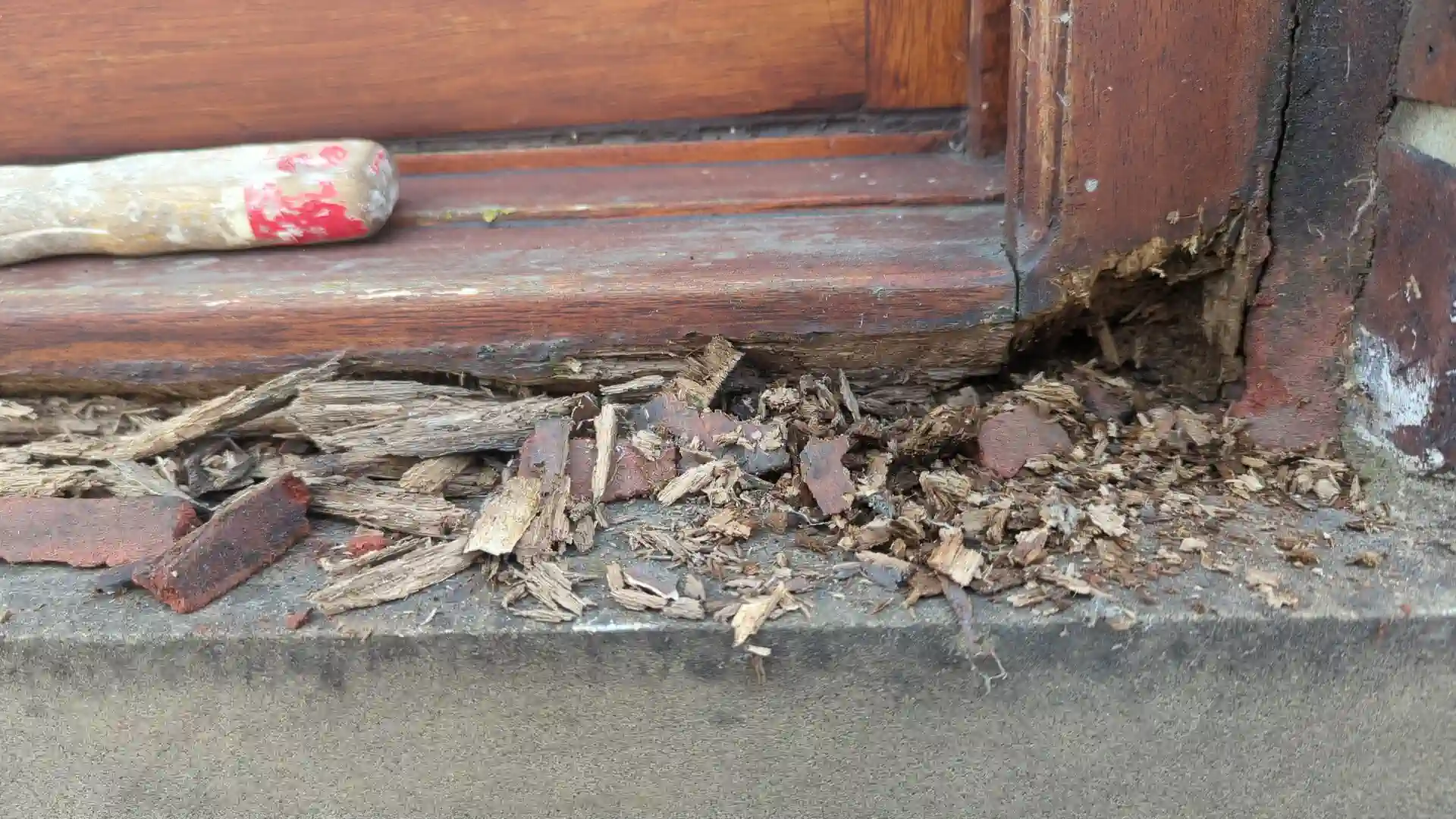 Rotten timber cut out of a window sash and sill, showing the full extent of the decay