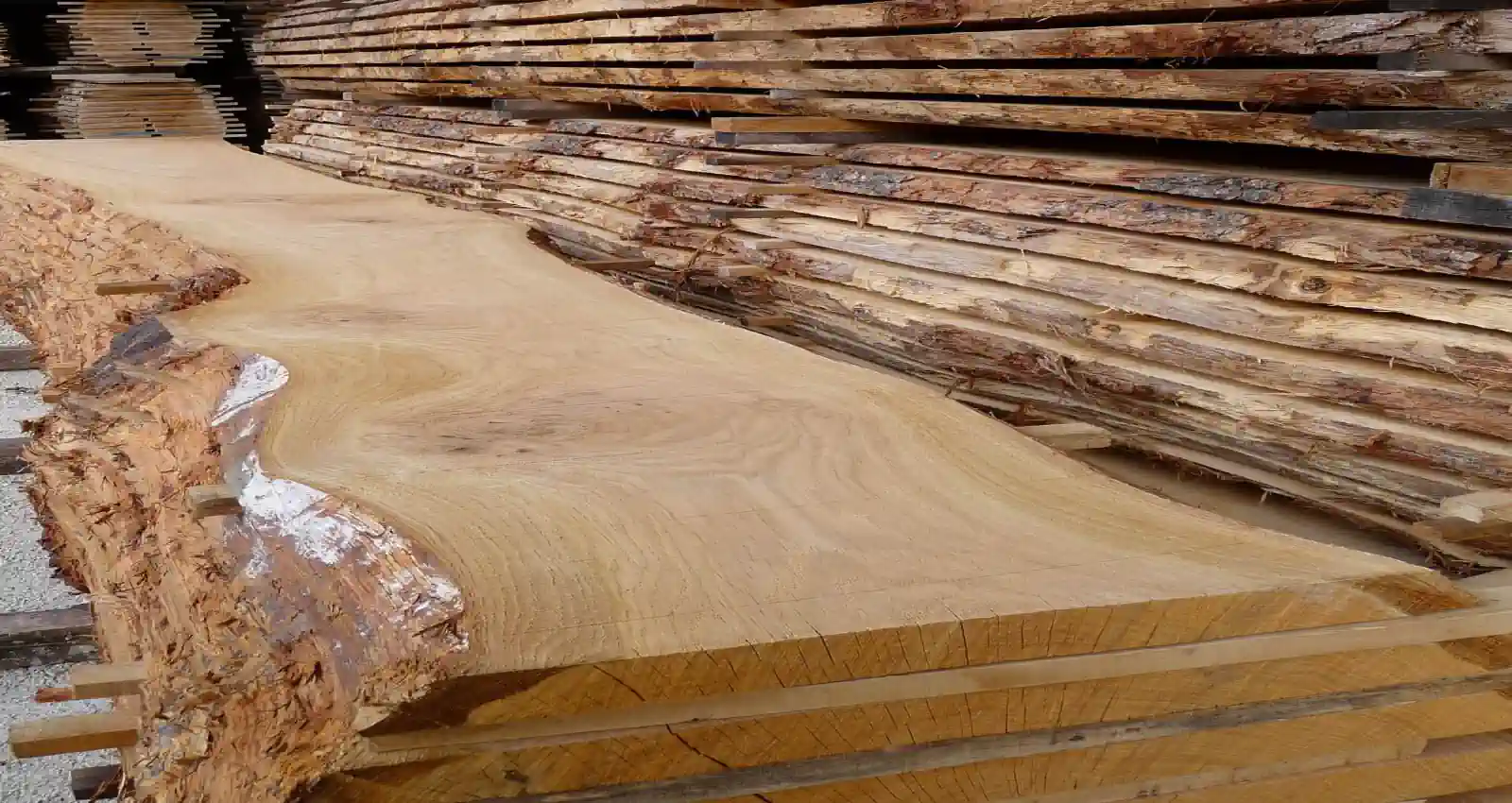 Sawn oak boards stacked for air drying, with a wide live-edge oak slab in the foreground